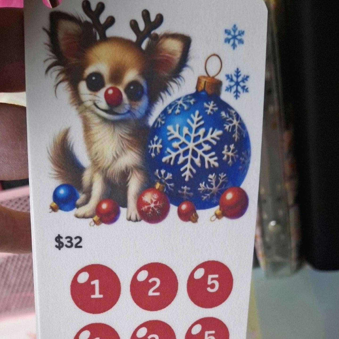 Red Nose Reindeer Pup Christmas Scratch Off and Mini Saving Challenge Set