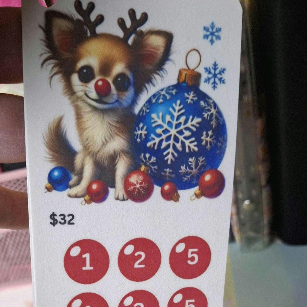 Red Nose Reindeer Pup Christmas Scratch Off and Mini Saving Challenge Set