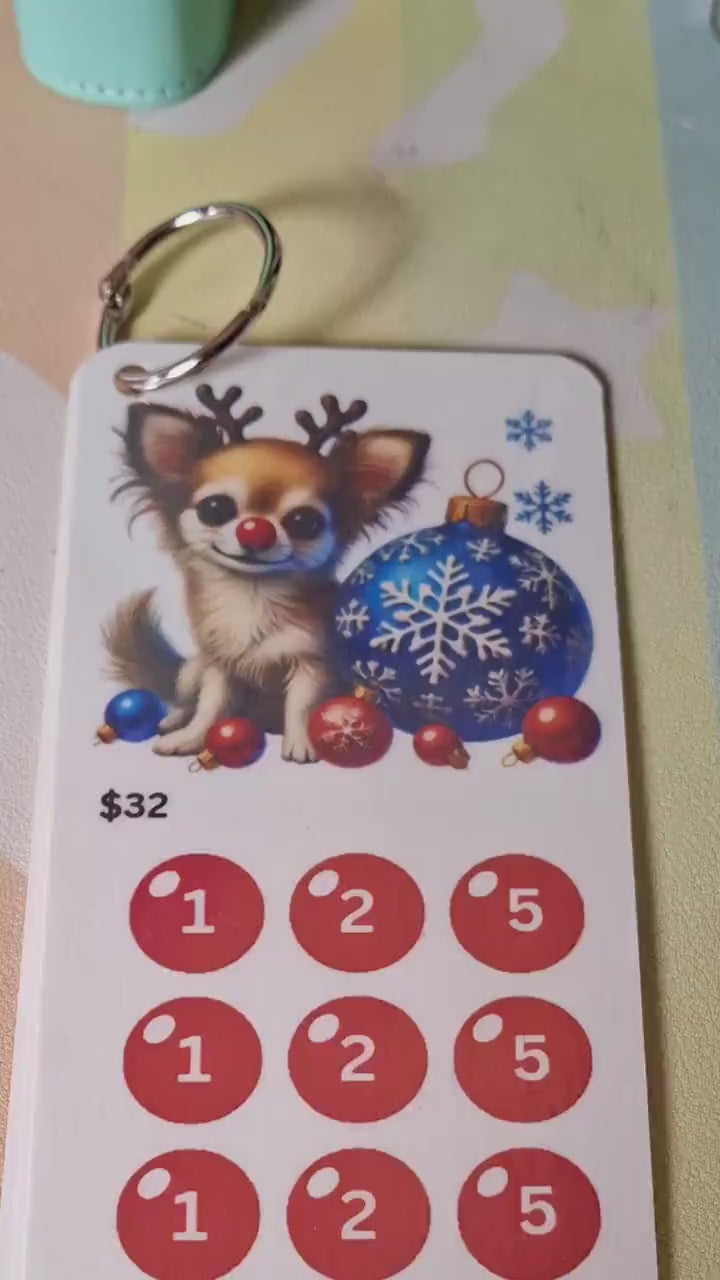 Red Nose Reindeer Pup Christmas Scratch Off and Mini Saving Challenge Set